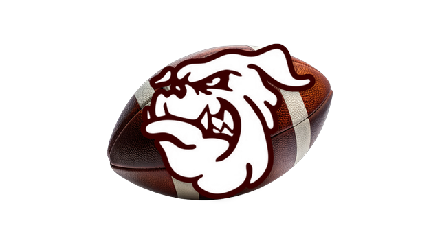 Terry High School Football logo